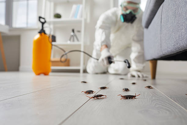 Trusted Termite Control service in Lookout Mountain, AL - Nex Pest Control