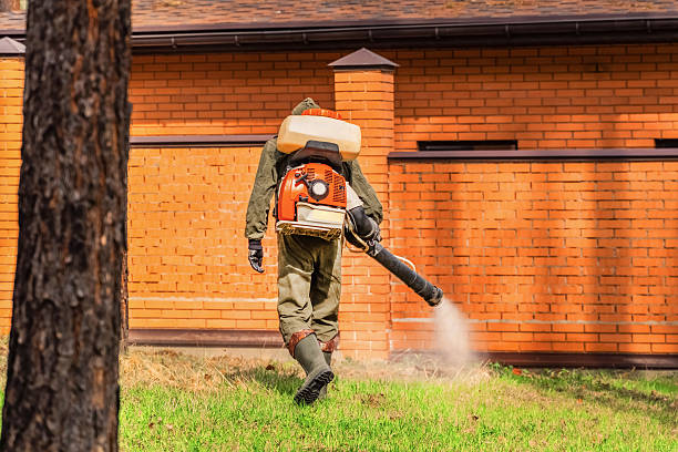 Trusted Mosquito Control service in Lookout Mountain, AL - Nex Pest Control